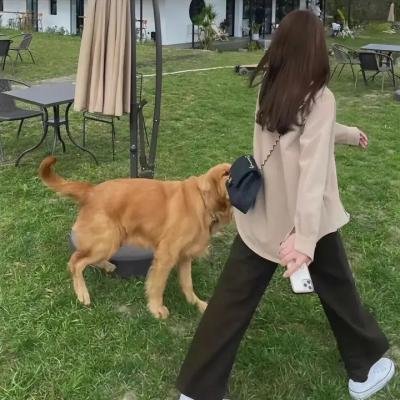 疯狂行动